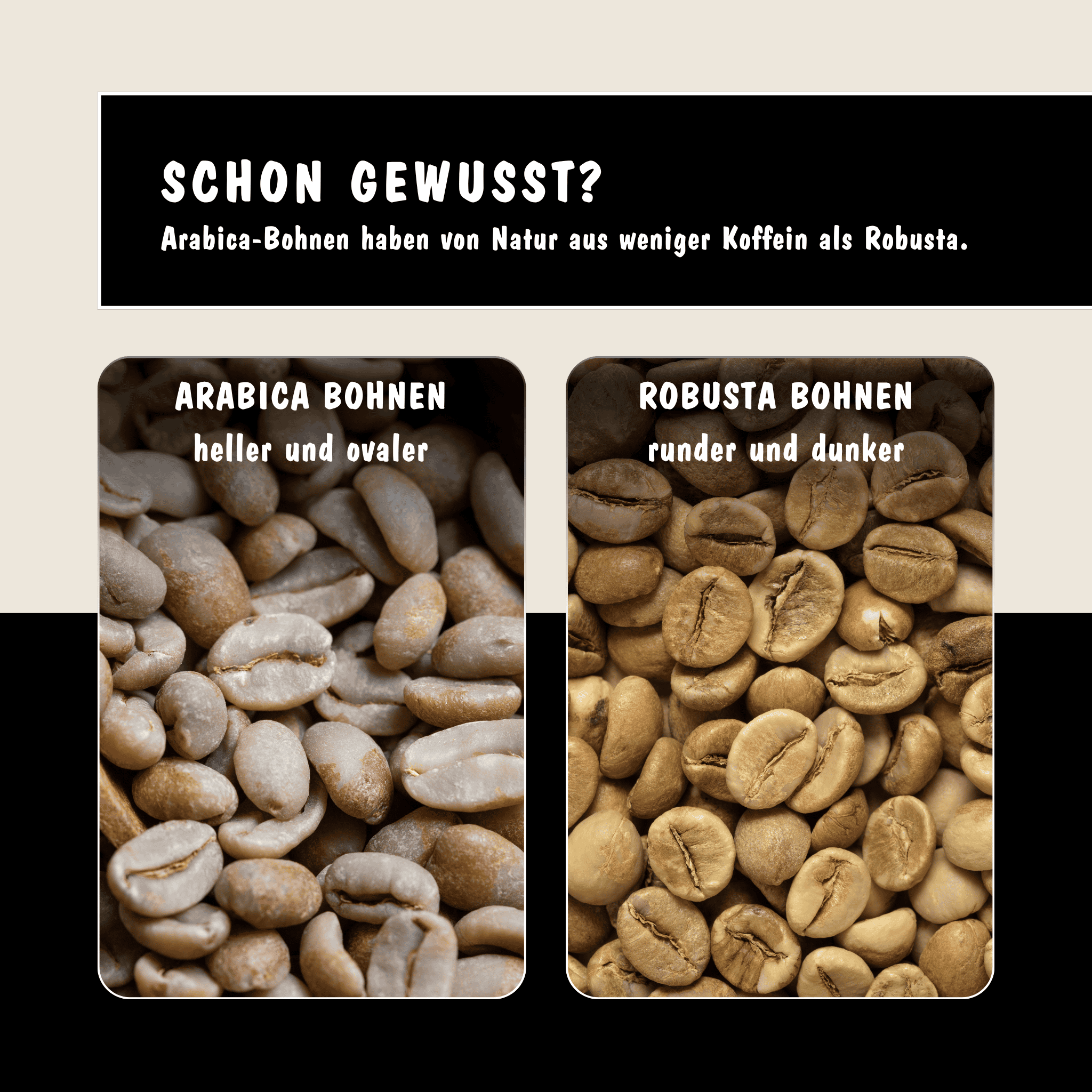 Blog Beitrag zu Arabica vs Robusta Bohnen