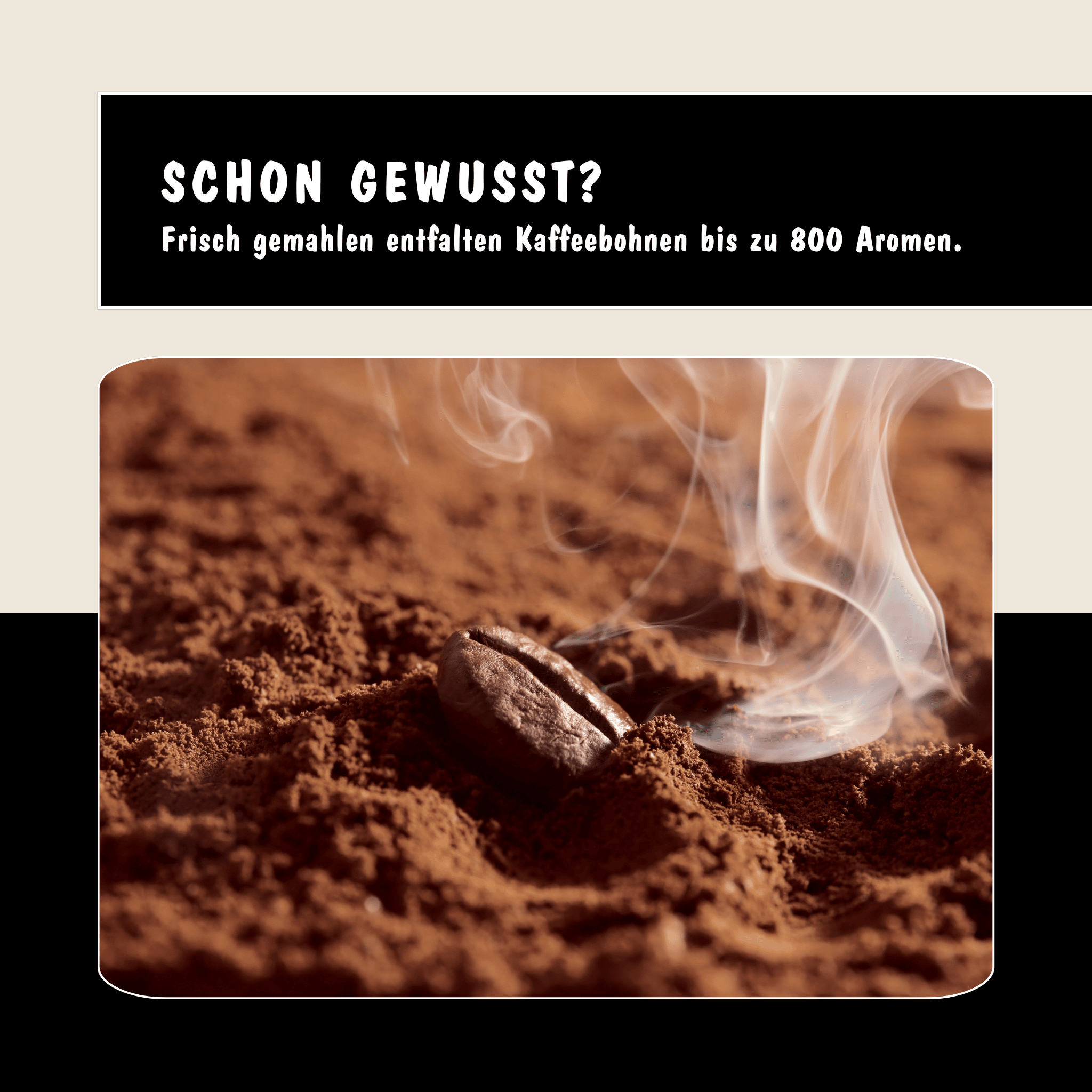 Blog Beitrag  zum Thema gemahlener Kaffee