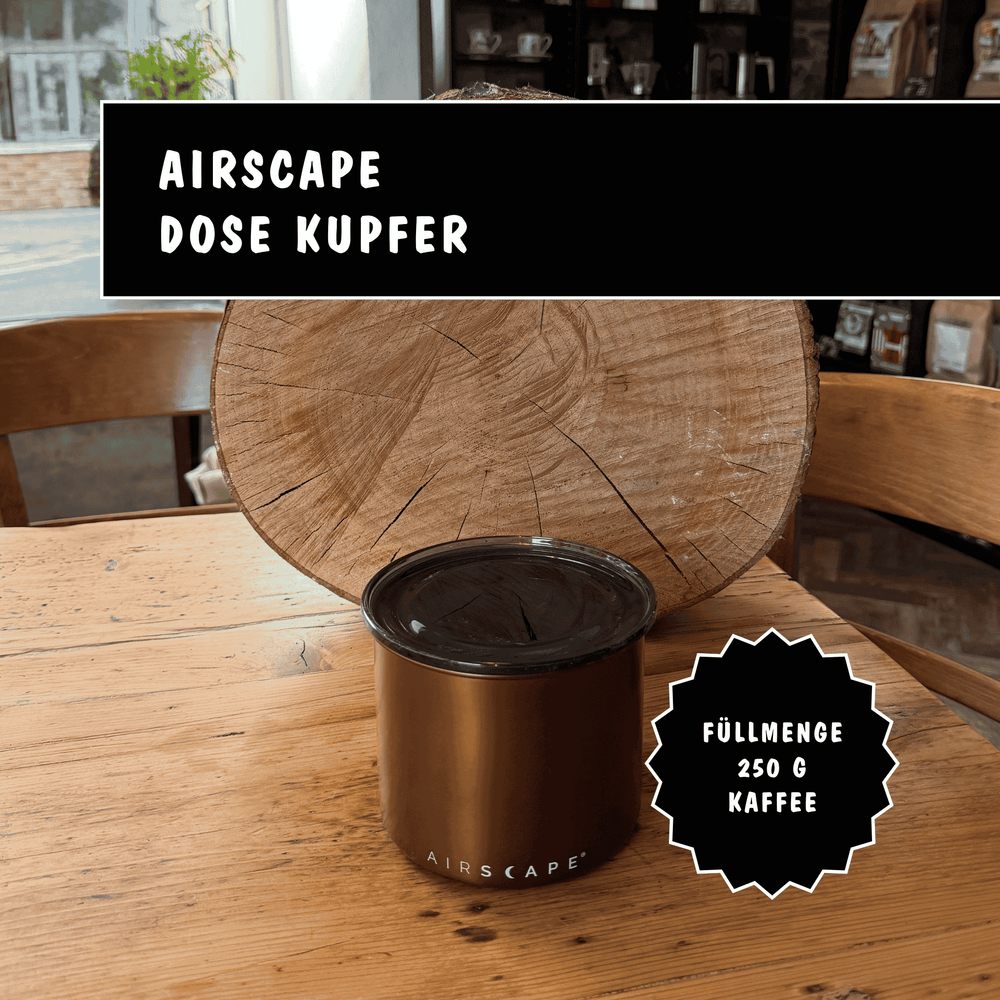 Airscape Kaffeedose aus Edelstahl mit patentiertem Innendeckel zur Aufbewahrung von Kaffee in kupfer für 250 g Bohnen